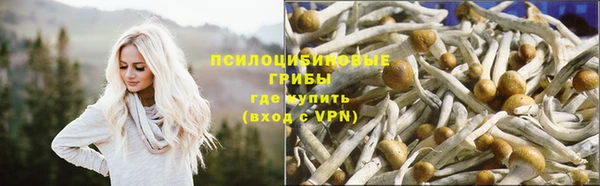 Альфа ПВП Краснослободск