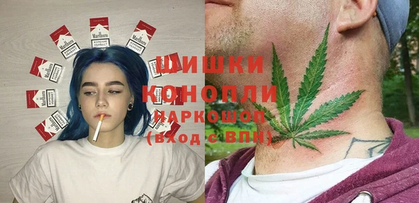 Альфа ПВП Краснослободск