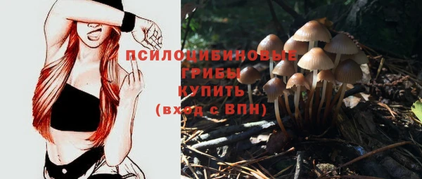 бошки Кукмор