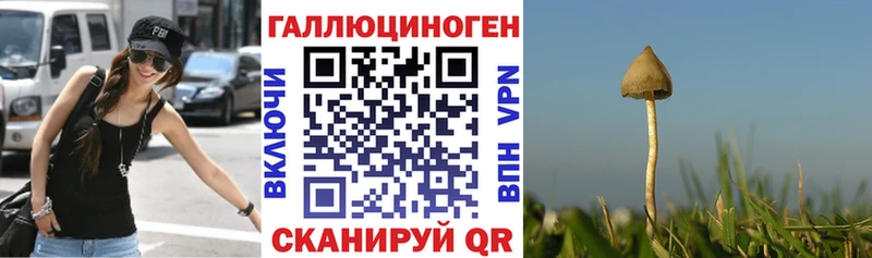 OMG ONION Энгельс Псилоцибиновые грибы мухоморы